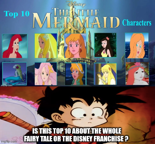 gohan is so unsure about the little mermaid | IS THIS TOP 10 ABOUT THE WHOLE FAIRY TALE OR THE DISNEY FRANCHISE ? | image tagged in the many little mermaids,gohan,anime meme,so much books,ariel,animeme | made w/ Imgflip meme maker