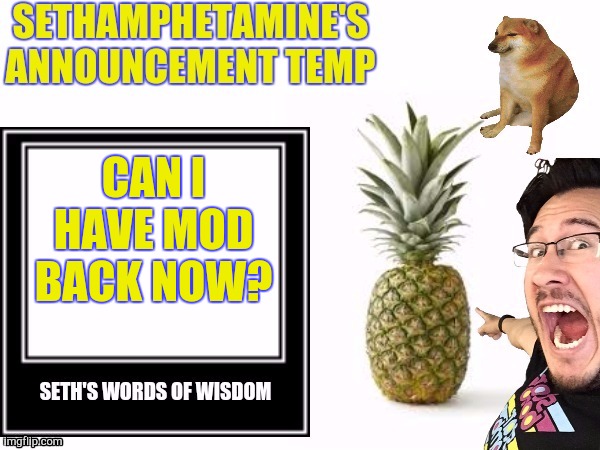 Seth's announcement temp | CAN I HAVE MOD BACK NOW? | image tagged in seth's announcement temp | made w/ Imgflip meme maker