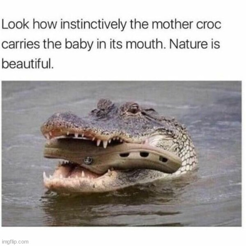 Crocs | image tagged in repost,crocs | made w/ Imgflip meme maker