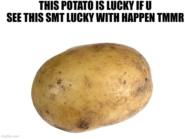 Lucky Potato | THIS POTATO IS LUCKY IF U SEE THIS SMT LUCKY WITH HAPPEN TMMR | image tagged in potato,lucky,memes,idk | made w/ Imgflip meme maker