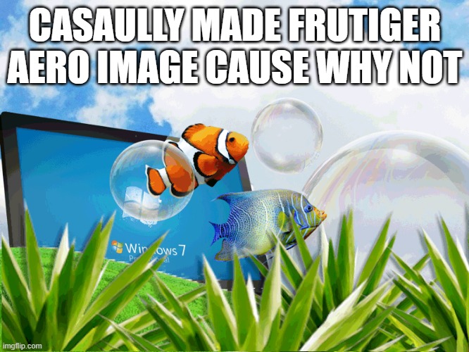 CASAULLY MADE FRUTIGER AERO IMAGE CAUSE WHY NOT | made w/ Imgflip meme maker