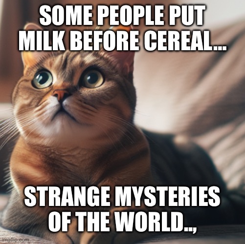 Milk before cereal | SOME PEOPLE PUT MILK BEFORE CEREAL…; STRANGE MYSTERIES OF THE WORLD.., | image tagged in strange mysteries of the world cat | made w/ Imgflip meme maker