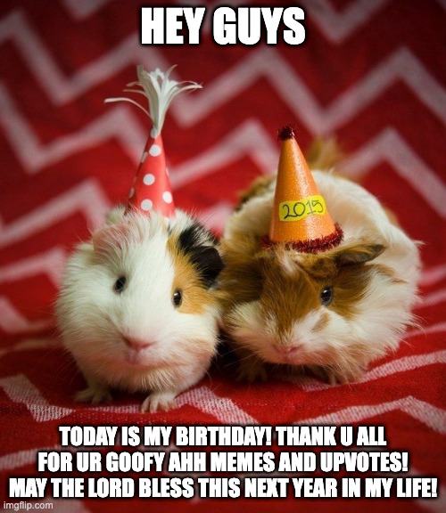 guinea pig birthday | HEY GUYS; TODAY IS MY BIRTHDAY! THANK U ALL FOR UR GOOFY AHH MEMES AND UPVOTES! MAY THE LORD BLESS THIS NEXT YEAR IN MY LIFE! | image tagged in guinea pig birthday | made w/ Imgflip meme maker