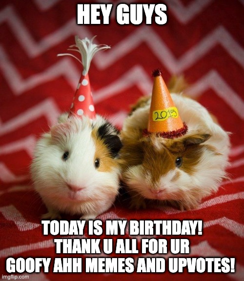 (Mod note: happy you day bro) | HEY GUYS; TODAY IS MY BIRTHDAY! THANK U ALL FOR UR GOOFY AHH MEMES AND UPVOTES! | image tagged in guinea pig birthday | made w/ Imgflip meme maker