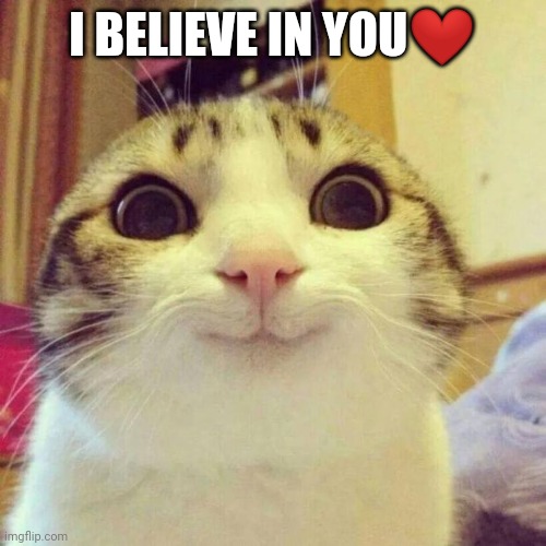 I BELIEVE IN YOU❤ | image tagged in memes,smiling cat | made w/ Imgflip meme maker