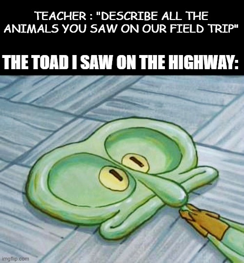 O_O | TEACHER : "DESCRIBE ALL THE ANIMALS YOU SAW ON OUR FIELD TRIP"; THE TOAD I SAW ON THE HIGHWAY: | image tagged in flat face squidward | made w/ Imgflip meme maker