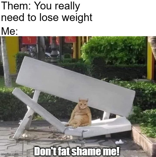 Them: You really need to lose weight; Me:; Don't fat shame me! | image tagged in funny | made w/ Imgflip meme maker