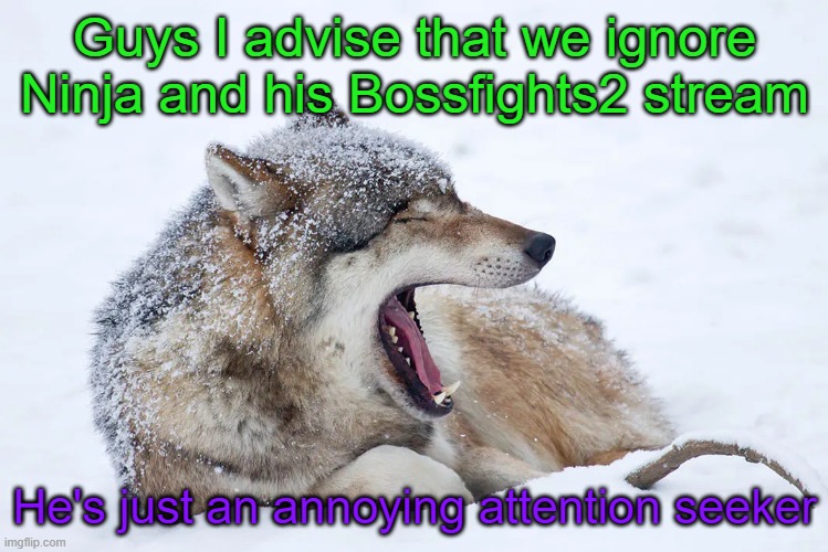 Yawning wolf | Guys I advise that we ignore Ninja and his Bossfights2 stream; He's just an annoying attention seeker | image tagged in yawning wolf | made w/ Imgflip meme maker