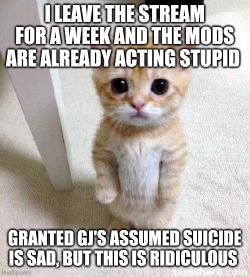 DiegoTheFurFlix, memechat F-35B_Lightning_II. | I LEAVE THE STREAM FOR A WEEK AND THE MODS ARE ALREADY ACTING STUPID; GRANTED GJ'S ASSUMED SUICIDE IS SAD, BUT THIS IS RIDICULOUS | image tagged in memes,cute cat | made w/ Imgflip meme maker