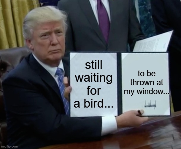 Trump Bill Signing | still waiting for a bird... to be thrown at my window... | image tagged in memes,trump bill signing | made w/ Imgflip meme maker