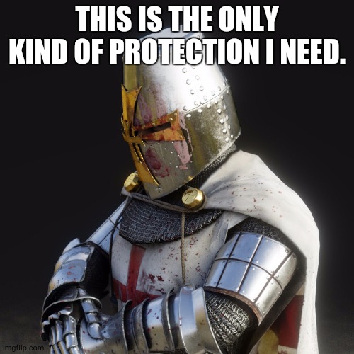 Fun stream ahh or nah. I'm thinking its a mix. | THIS IS THE ONLY KIND OF PROTECTION I NEED. | image tagged in paladin | made w/ Imgflip meme maker