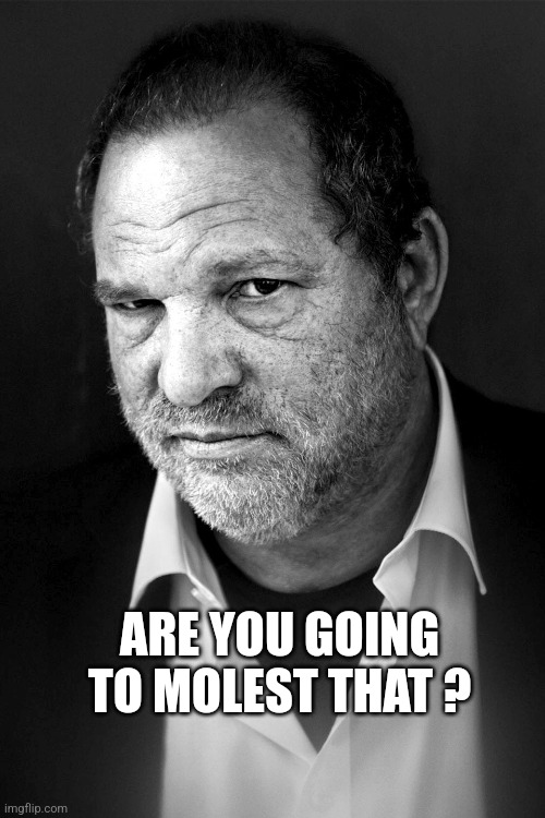 Hollywood | ARE YOU GOING TO MOLEST THAT ? | image tagged in harvey weinstein,hollywood,memes,celebrity,funny | made w/ Imgflip meme maker