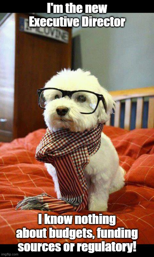Intelligent Dog | I'm the new Executive Director; I know nothing about budgets, funding sources or regulatory! | image tagged in memes,intelligent dog | made w/ Imgflip meme maker