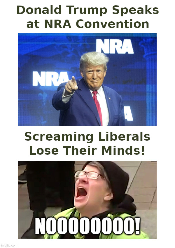 Donald Trump Speaks at NRA Convention | image tagged in donald trump,nra,convention,screaming liberal,and everybody loses their minds | made w/ Imgflip meme maker