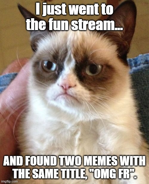 this annoys me to a whole nother level. | I just went to the fun stream... AND FOUND TWO MEMES WITH THE SAME TITLE, "OMG FR". | image tagged in memes,grumpy cat,oh wow are you actually reading these tags,well yes but actually no,wait what,what do you mean | made w/ Imgflip meme maker