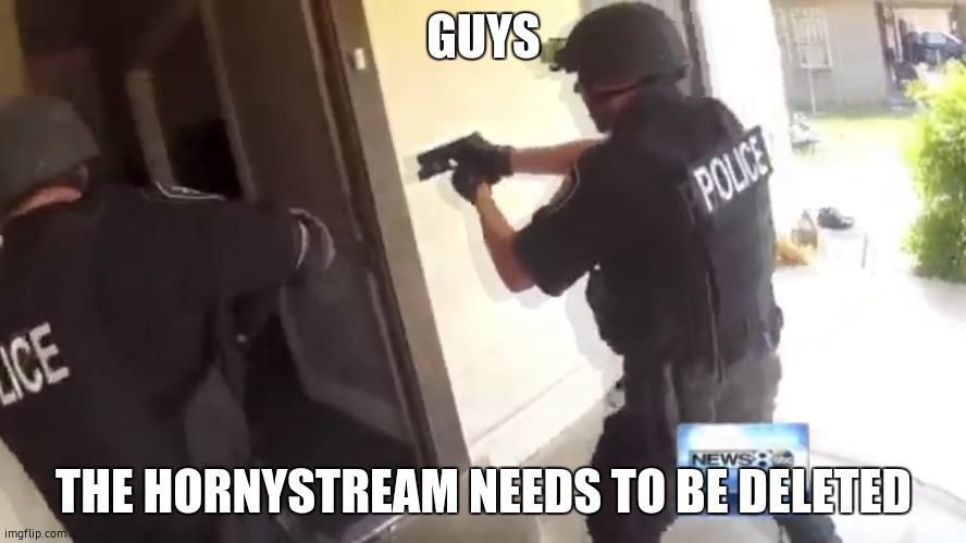 We need to keep imgflip safe | GUYS; THE HORNYSTREAM NEEDS TO BE DELETED | image tagged in fbi open up | made w/ Imgflip meme maker