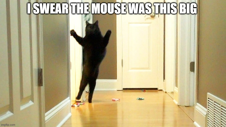 memes by Brad - Cat says mouse was big | I SWEAR THE MOUSE WAS THIS BIG | image tagged in funny,cats,kittens,funny cat memes,cute kitten,humor | made w/ Imgflip meme maker