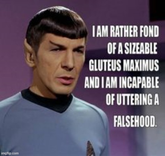 Re-Posting-Not Mine-Don't Care-I AGREE WITH IT & I LIKE IT! | image tagged in mr spock | made w/ Imgflip meme maker