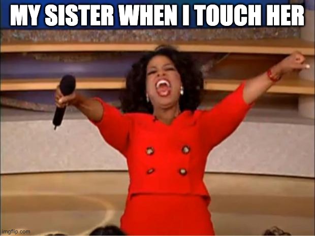 Oprah You Get A | MY SISTER WHEN I TOUCH HER | image tagged in memes,oprah you get a | made w/ Imgflip meme maker