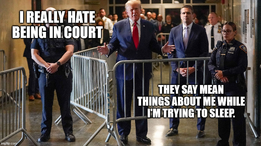killer line from the snl cold open | I REALLY HATE BEING IN COURT; THEY SAY MEAN THINGS ABOUT ME WHILE I'M TRYING TO SLEEP. | made w/ Imgflip meme maker