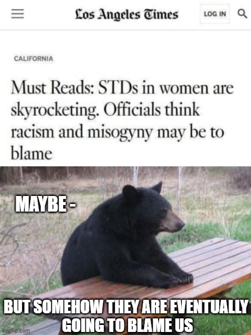 Bend Over and Bear Your Logic | MAYBE -; BUT SOMEHOW THEY ARE EVENTUALLY
 GOING TO BLAME US | image tagged in bad luck bear,liberals,leftists | made w/ Imgflip meme maker