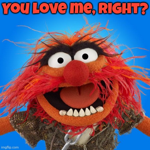 It's called the Animal Lovers stream. | You love me, right? | image tagged in muppets animal,literally,can't argue with that / technically not wrong | made w/ Imgflip meme maker