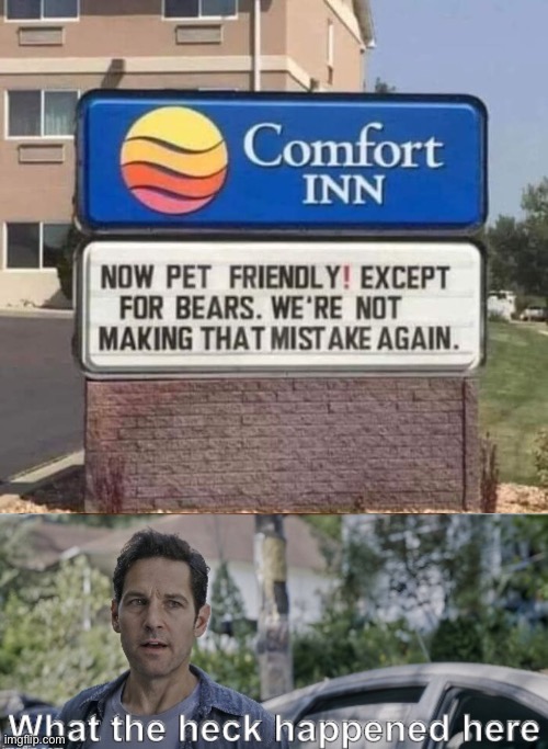 Genuinely wondering that happened | image tagged in memes,no bears in hotel,what the hell happened here,funny | made w/ Imgflip meme maker