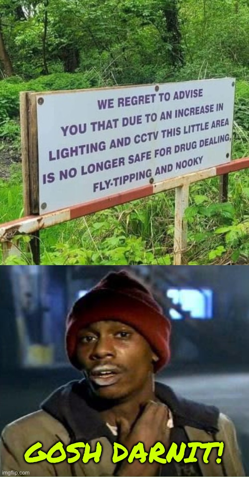 What a shame | GOSH DARNIT! | image tagged in memes,funny,yall got any more of,woods,gosh darnit | made w/ Imgflip meme maker
