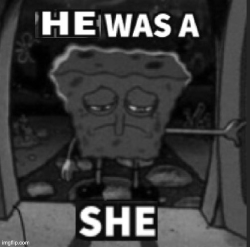 He was a she | image tagged in he was a she | made w/ Imgflip meme maker