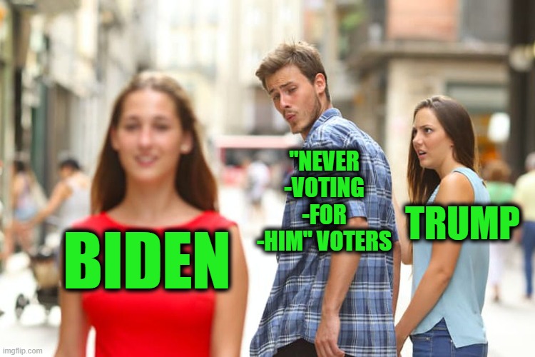 Never-Biden voters now Outnumber Never-Trumpers | "NEVER -VOTING -FOR -HIM" VOTERS; TRUMP; BIDEN | image tagged in memes,distracted boyfriend | made w/ Imgflip meme maker