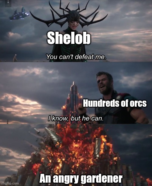 You can't defeat me | Shelob; Hundreds of orcs; An angry gardener | image tagged in you can't defeat me | made w/ Imgflip meme maker