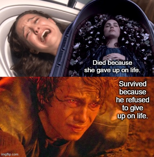 Padmé  and Anakin Contrasted | Died because she gave up on life. Survived because he refused to give up on life. | image tagged in anakin burning,padme,star wars | made w/ Imgflip meme maker