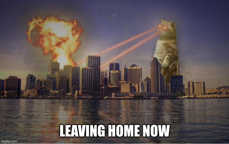 (David : Catzilla) | LEAVING HOME NOW | image tagged in cat destroying city | made w/ Imgflip meme maker