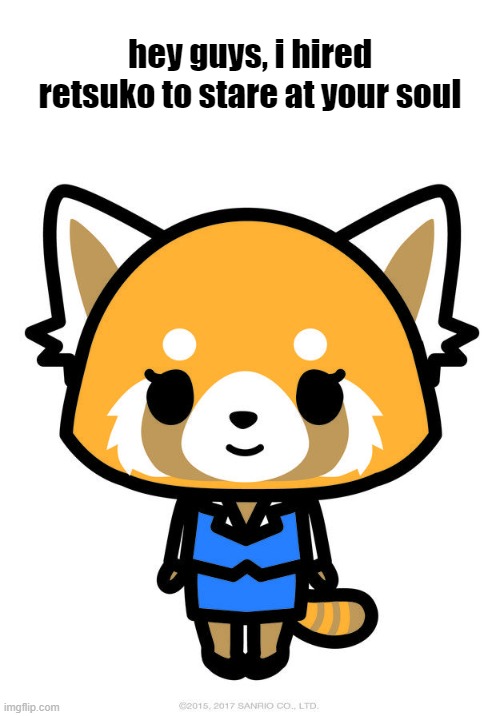 Retsuko | hey guys, i hired retsuko to stare at your soul | image tagged in retsuko | made w/ Imgflip meme maker