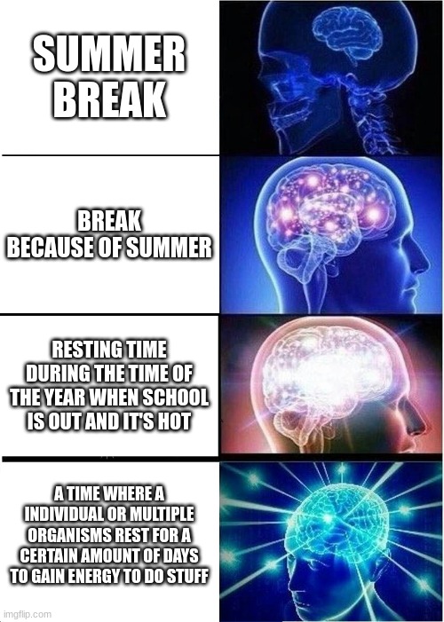 Summer break | SUMMER BREAK; BREAK BECAUSE OF SUMMER; RESTING TIME DURING THE TIME OF THE YEAR WHEN SCHOOL IS OUT AND IT'S HOT; A TIME WHERE A INDIVIDUAL OR MULTIPLE ORGANISMS REST FOR A CERTAIN AMOUNT OF DAYS TO GAIN ENERGY TO DO STUFF | image tagged in memes,expanding brain | made w/ Imgflip meme maker