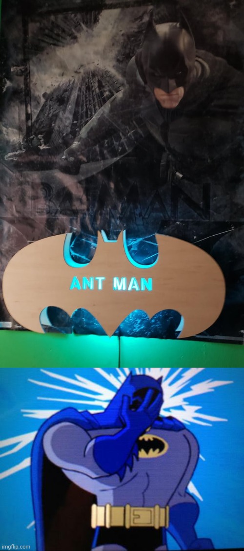 Ant man | image tagged in batman facepalm,batman,you had one job,memes,antman,superhero | made w/ Imgflip meme maker