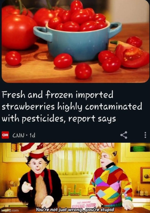 "Strawberries" | image tagged in you're not just wrong you're stupid,tomatoes,tomato,strawberries,you had one job,memes | made w/ Imgflip meme maker