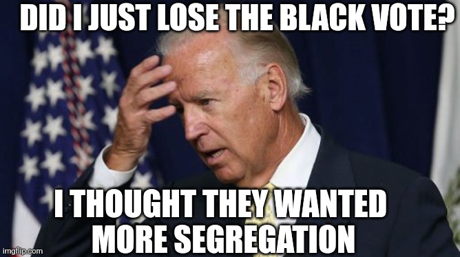 JOE BIDEN: THE GREAT SEPARATOR | DID I JUST LOSE THE BLACK VOTE? I THOUGHT THEY WANTED 
MORE SEGREGATION | image tagged in joe biden worries,joe biden,democrats | made w/ Imgflip meme maker