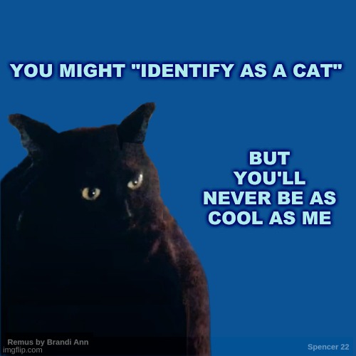 You'll never be as furry as me. | BUT YOU'LL NEVER BE AS COOL AS ME; YOU MIGHT "IDENTIFY AS A CAT" | image tagged in contemplate cat,furries,cool cat,funny cat memes,identity,there are no accidents | made w/ Imgflip meme maker