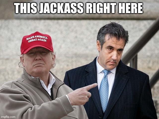 Michael Cohen | THIS JACKASS RIGHT HERE | image tagged in the donald | made w/ Imgflip meme maker