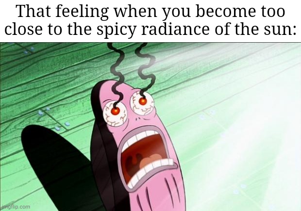 SUN | That feeling when you become too close to the spicy radiance of the sun: | image tagged in spongebob my eyes,sunny,radiance,sun,memes,spicy | made w/ Imgflip meme maker