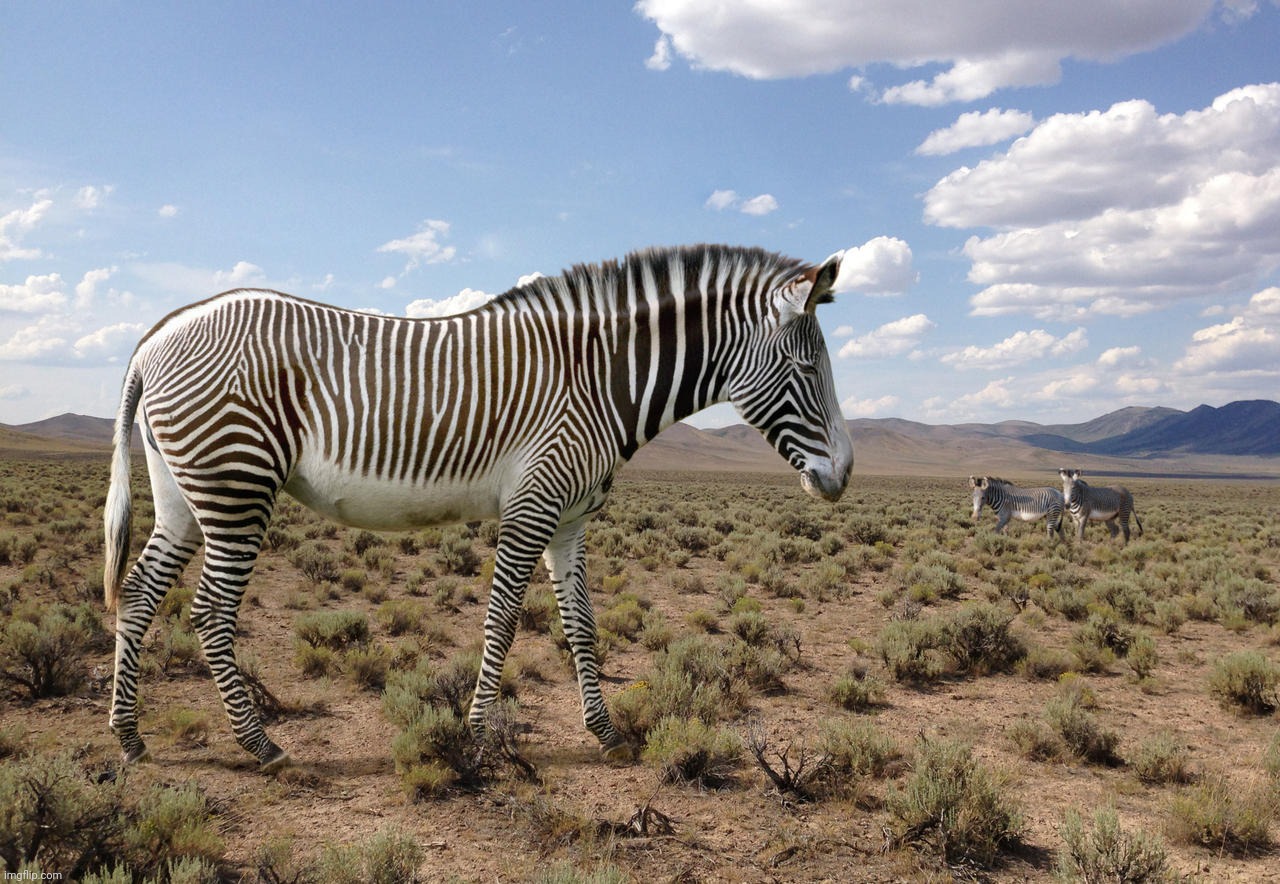 Be kind, rewild. Bring back the extinct Hagerman horse via its descendant, Grevy's zebra. All Equids were originally striped,,, | image tagged in hagerman horse,equus simplicidens,grevy's zebra,equus grevyi,extinct in america because the glaciers melted,but alive in africa | made w/ Imgflip meme maker