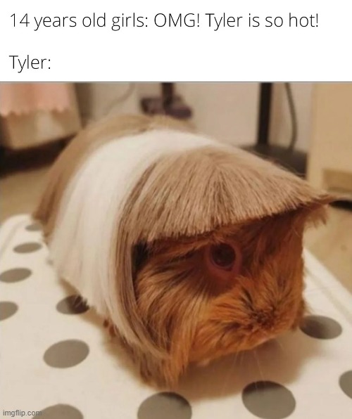 Cute tyler | image tagged in memes,funny,relatable memes,so true,sad but true | made w/ Imgflip meme maker