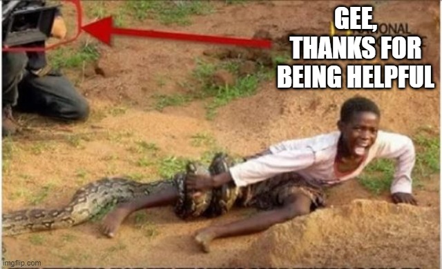 No Help | GEE, THANKS FOR BEING HELPFUL | image tagged in you had one job | made w/ Imgflip meme maker