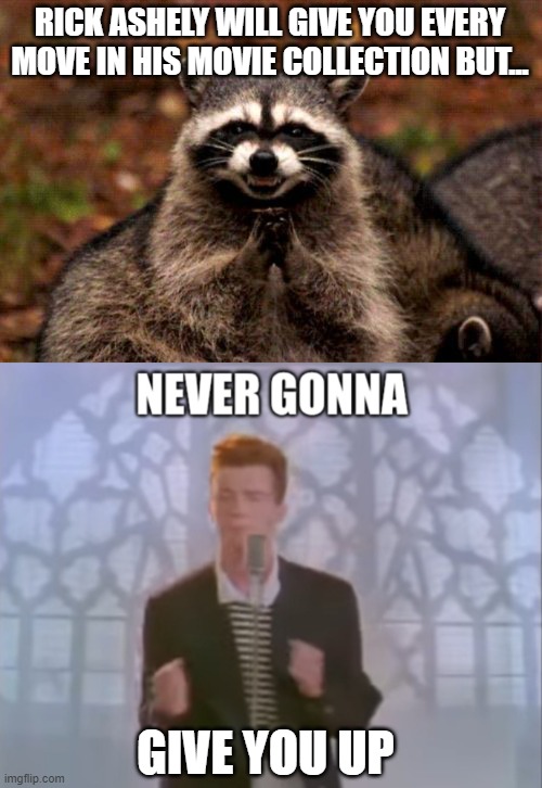 get rick rolled lol | RICK ASHELY WILL GIVE YOU EVERY MOVE IN HIS MOVIE COLLECTION BUT... GIVE YOU UP | image tagged in memes,evil plotting raccoon,rick roll | made w/ Imgflip meme maker