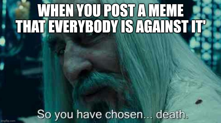 So you have chosen death | WHEN YOU POST A MEME THAT EVERYBODY IS AGAINST IT' | image tagged in so you have chosen death,memes | made w/ Imgflip meme maker