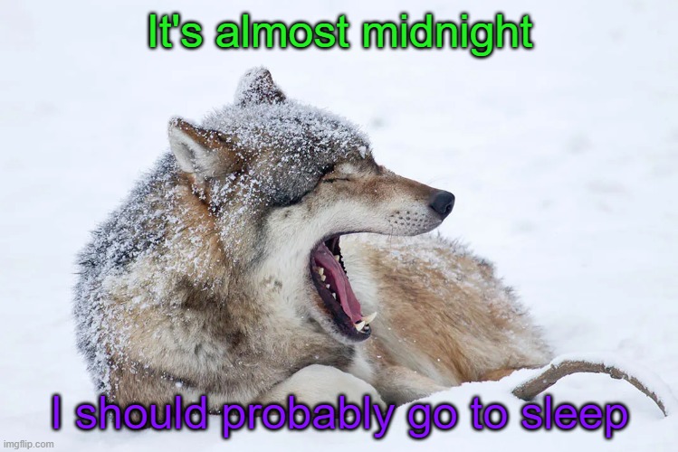 I've made some progress on Chapter 5 at least | It's almost midnight; I should probably go to sleep | image tagged in yawning wolf | made w/ Imgflip meme maker