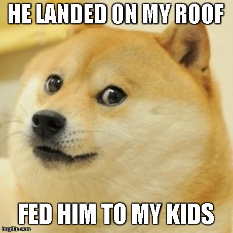Doge Meme | HE LANDED ON MY ROOF FED HIM TO MY KIDS | image tagged in memes,doge | made w/ Imgflip meme maker