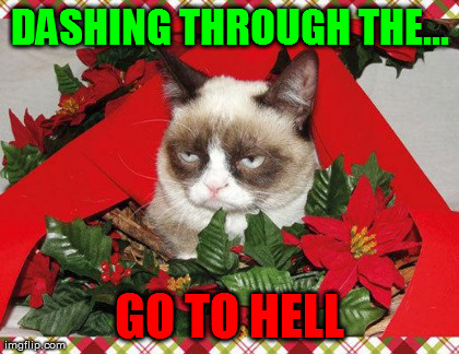 Grumpy Cat Mistletoe Meme | image tagged in memes,grumpy cat | made w/ Imgflip meme maker