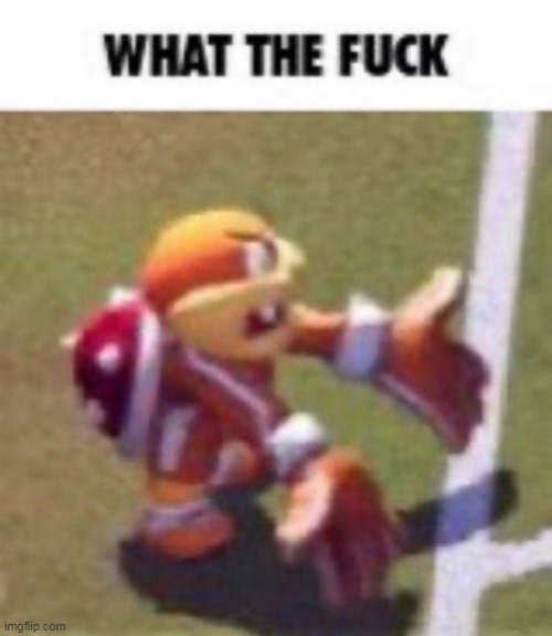 WHAT THE FUCK Blank Template Imgflip